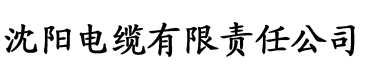 www.65581.com电缆厂logo